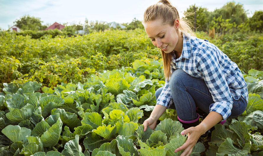 Farming Jobs in Canada with Visa Sponsorship for Foreigners